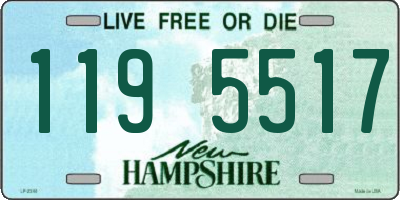 NH license plate 1195517