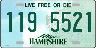 NH license plate 1195521