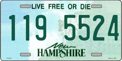 NH license plate 1195524