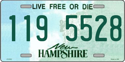NH license plate 1195528