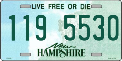 NH license plate 1195530