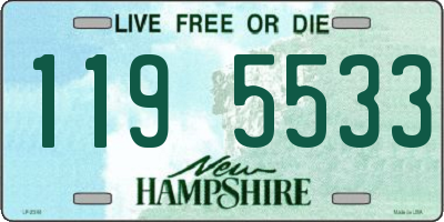 NH license plate 1195533
