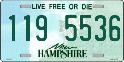 NH license plate 1195536