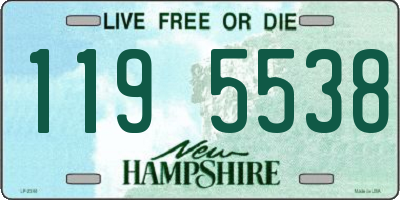 NH license plate 1195538
