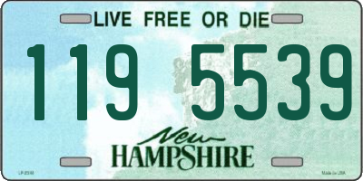 NH license plate 1195539