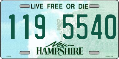NH license plate 1195540
