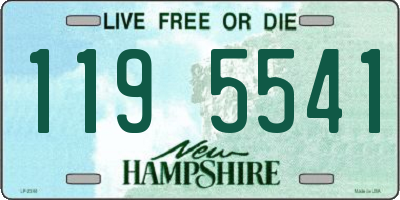 NH license plate 1195541