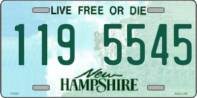 NH license plate 1195545