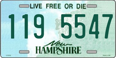 NH license plate 1195547