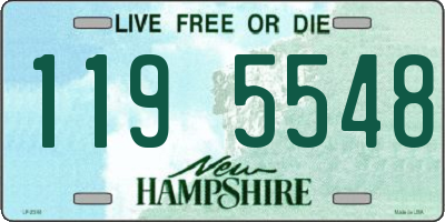 NH license plate 1195548