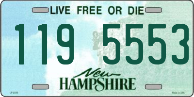 NH license plate 1195553