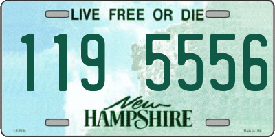 NH license plate 1195556