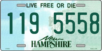 NH license plate 1195558