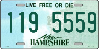 NH license plate 1195559