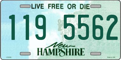 NH license plate 1195562