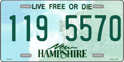 NH license plate 1195570