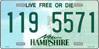 NH license plate 1195571
