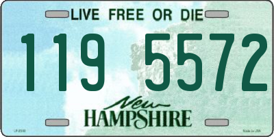 NH license plate 1195572