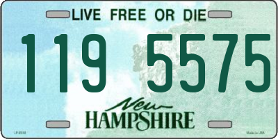NH license plate 1195575