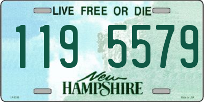 NH license plate 1195579