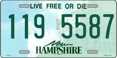 NH license plate 1195587