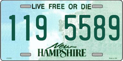 NH license plate 1195589