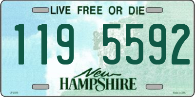 NH license plate 1195592