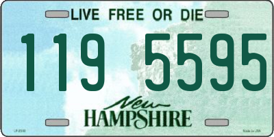 NH license plate 1195595