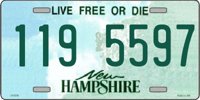 NH license plate 1195597