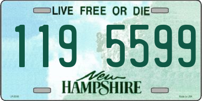 NH license plate 1195599