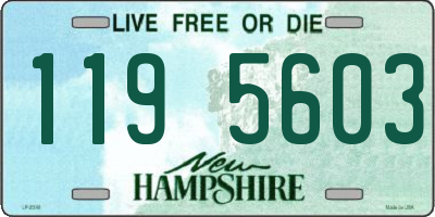 NH license plate 1195603