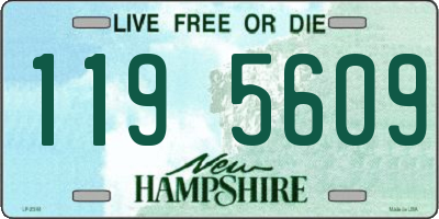 NH license plate 1195609