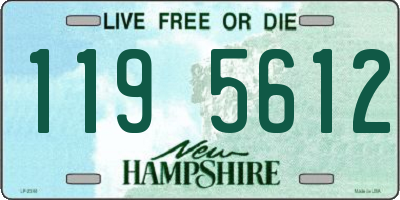 NH license plate 1195612