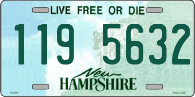 NH license plate 1195632