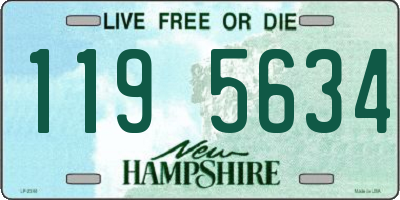 NH license plate 1195634