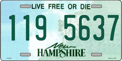 NH license plate 1195637