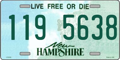 NH license plate 1195638