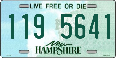 NH license plate 1195641