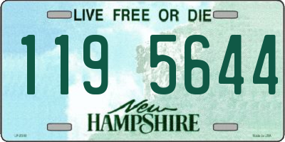 NH license plate 1195644
