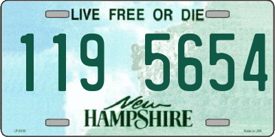 NH license plate 1195654