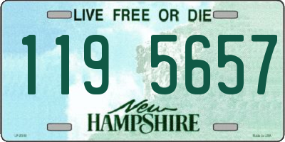 NH license plate 1195657
