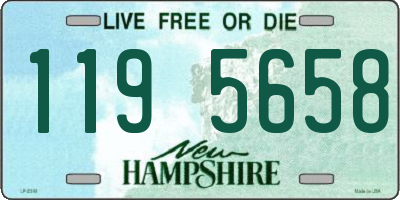 NH license plate 1195658