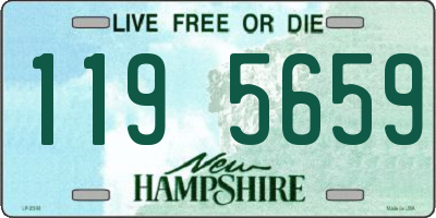 NH license plate 1195659