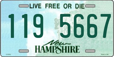 NH license plate 1195667