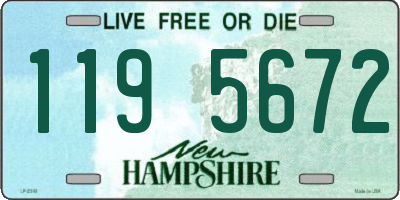 NH license plate 1195672