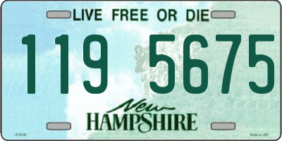NH license plate 1195675