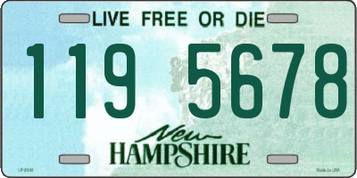 NH license plate 1195678