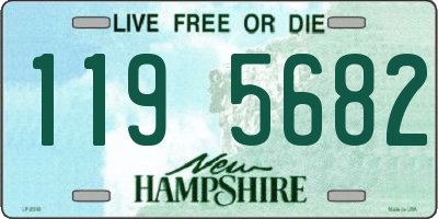 NH license plate 1195682
