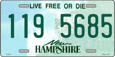 NH license plate 1195685