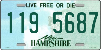 NH license plate 1195687